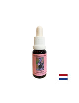 Calma e integra lo spirituale nella vita quotidiana - essenza di lavanda n. 30, 15 ml gocce