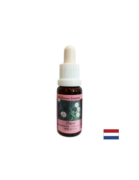 Increases memory and learning capacity - Common Daisy Essence No. 26, drops 15 ml - Nutra Best Europe