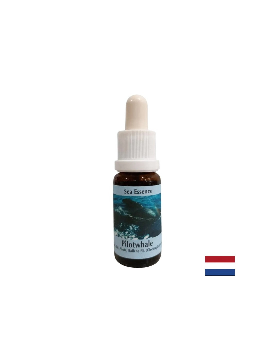 Per la meditazione - Essence Black Grind n. 10, gocce 15 ml