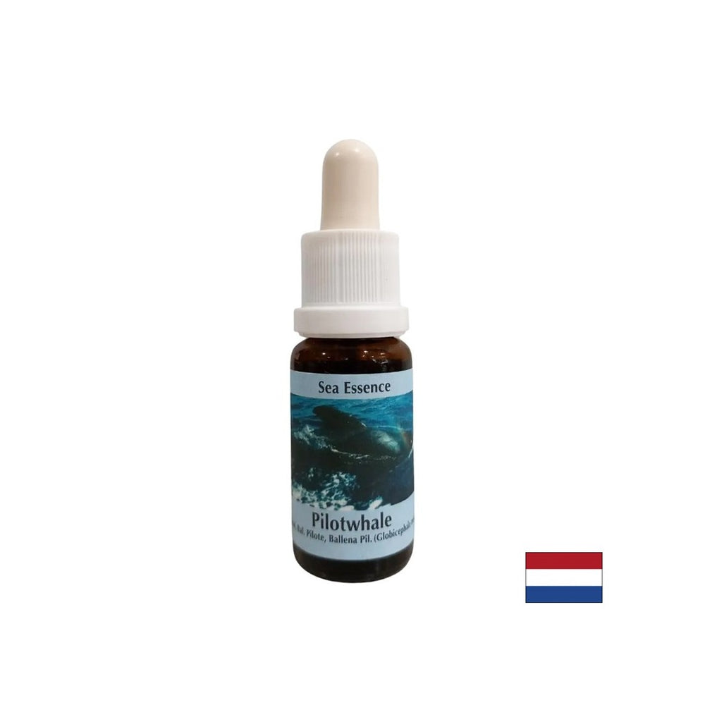 Per la meditazione - Essence Black Grind n. 10, gocce 15 ml