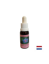Per auto -scoperta e integrazione - Essence Polace Fireweed n. 21, scende 15 ml