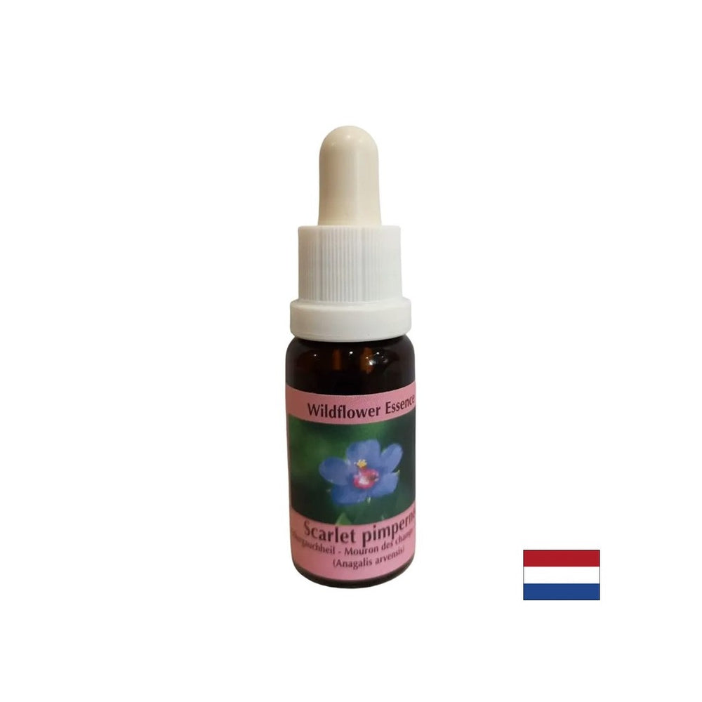 Per auto -scoperta e integrazione - Essence Polace Fireweed n. 21, scende 15 ml