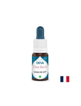 Per l'espressione verbale - Dogwood (Antirrhinum), Bach Drops, 15 ml